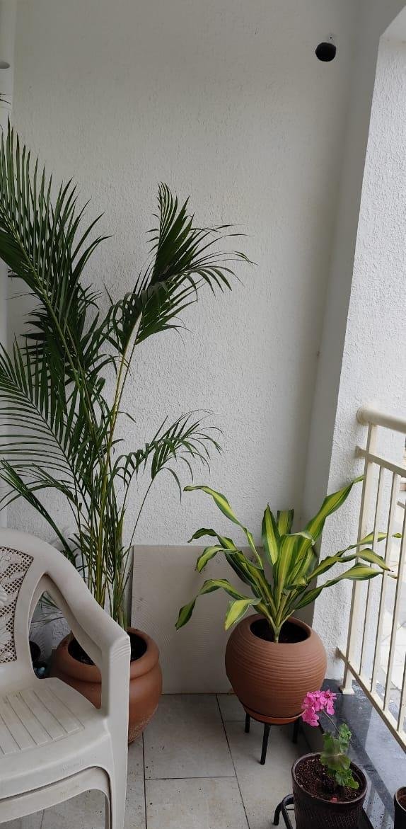 Beautiful Garden — LeafyLoom