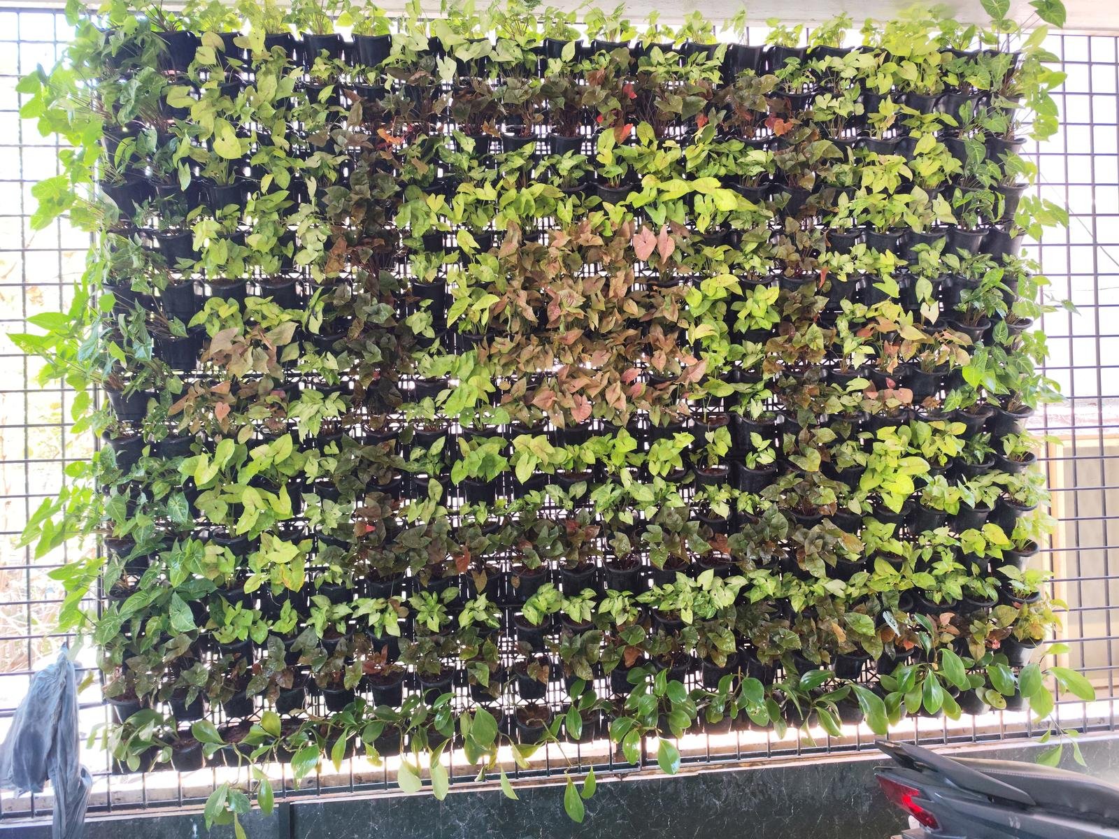 Beautiful Garden — LeafyLoom