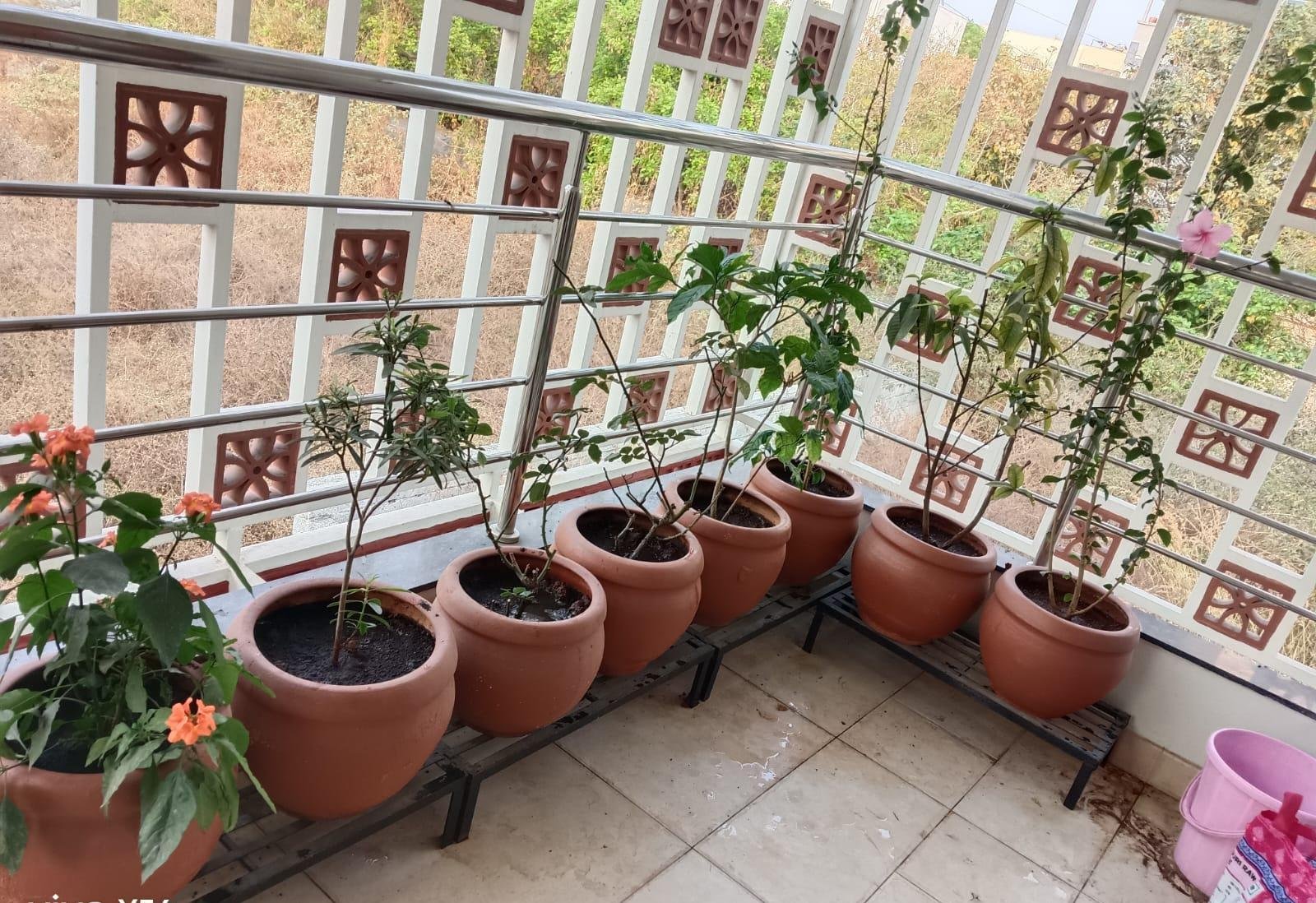 Beautiful Garden — LeafyLoom