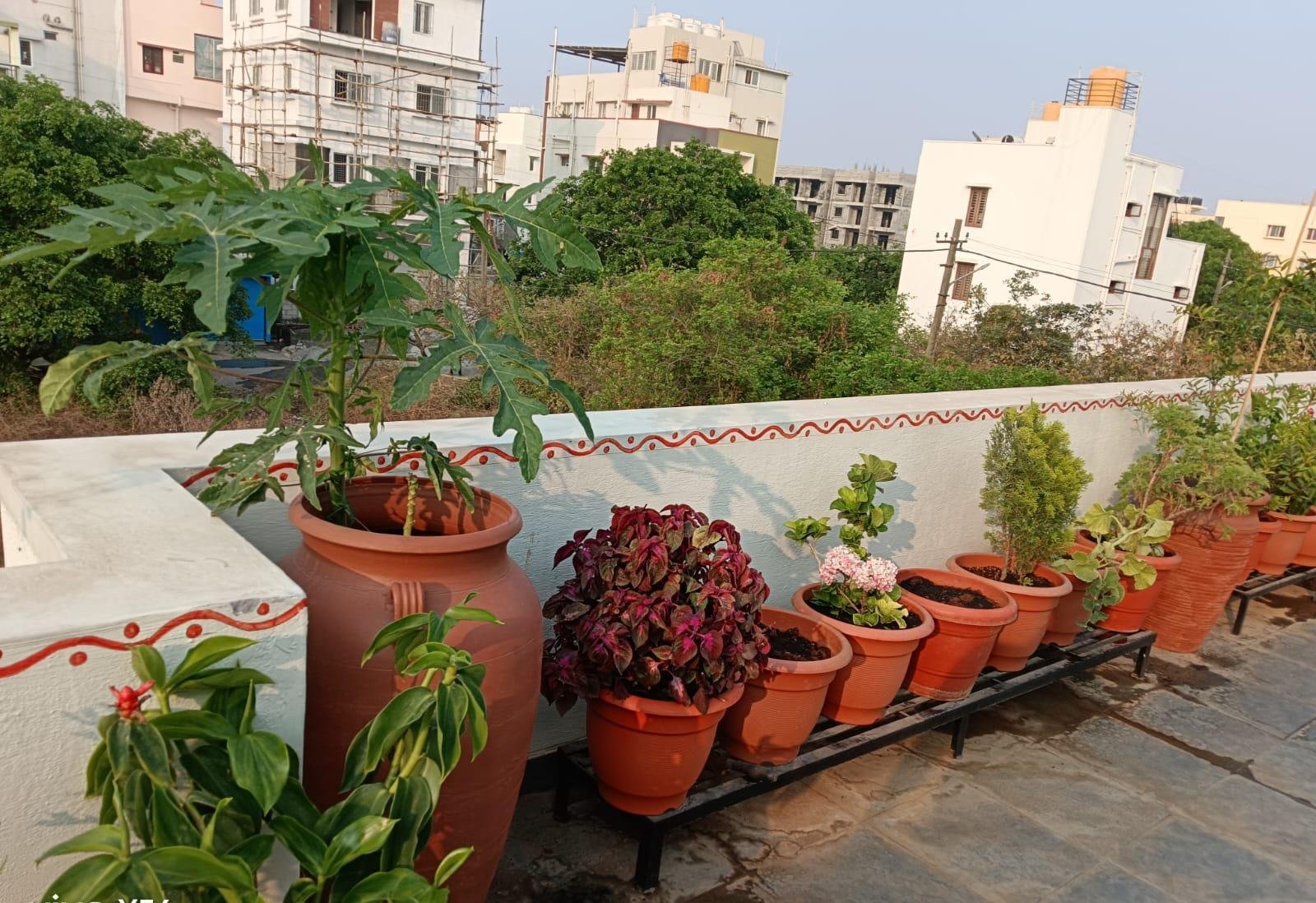 Beautiful Garden — LeafyLoom