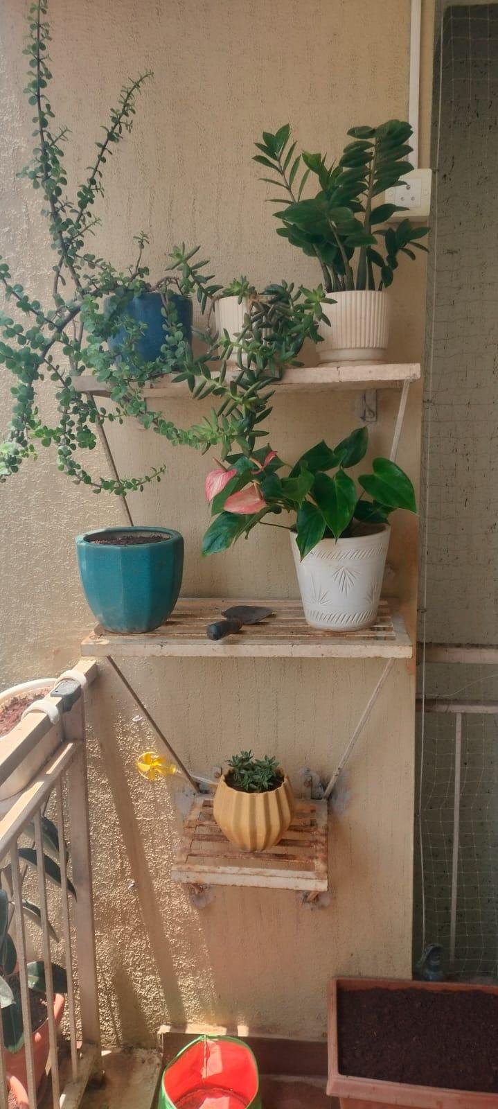 Beautiful Garden — LeafyLoom