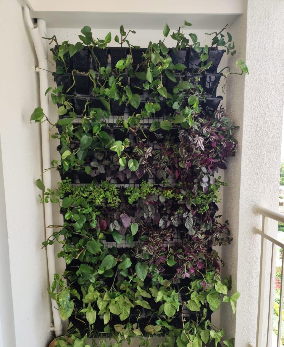 Garden Care — LeafyLoom