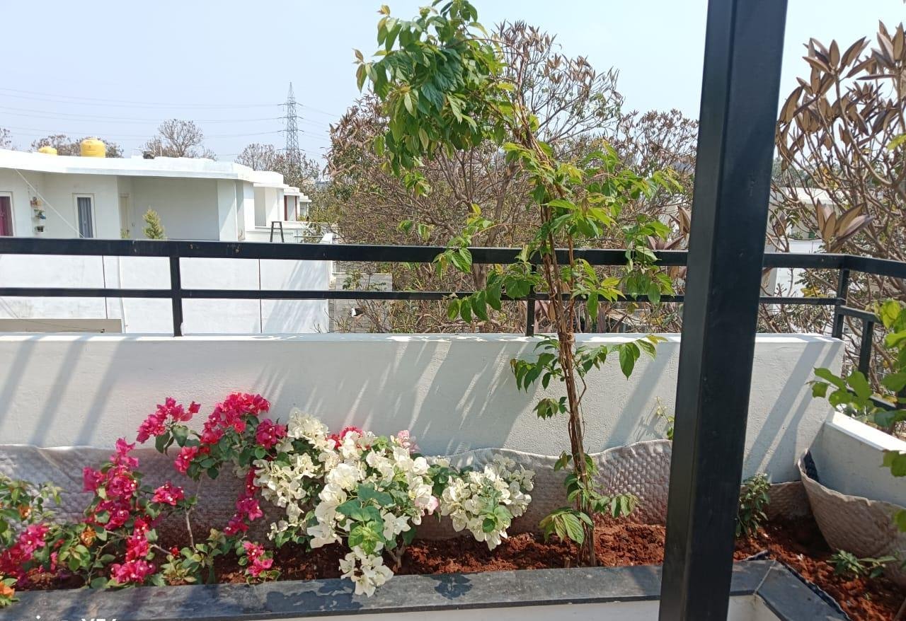 Garden Care — LeafyLoom