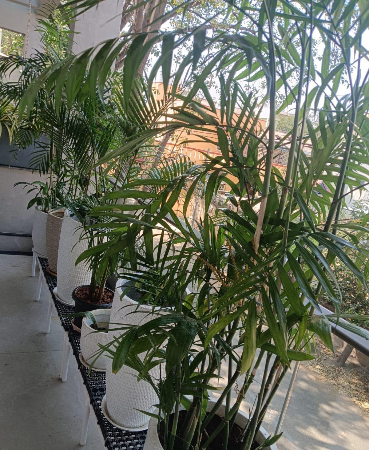 Garden Landscape — LeafyLoom