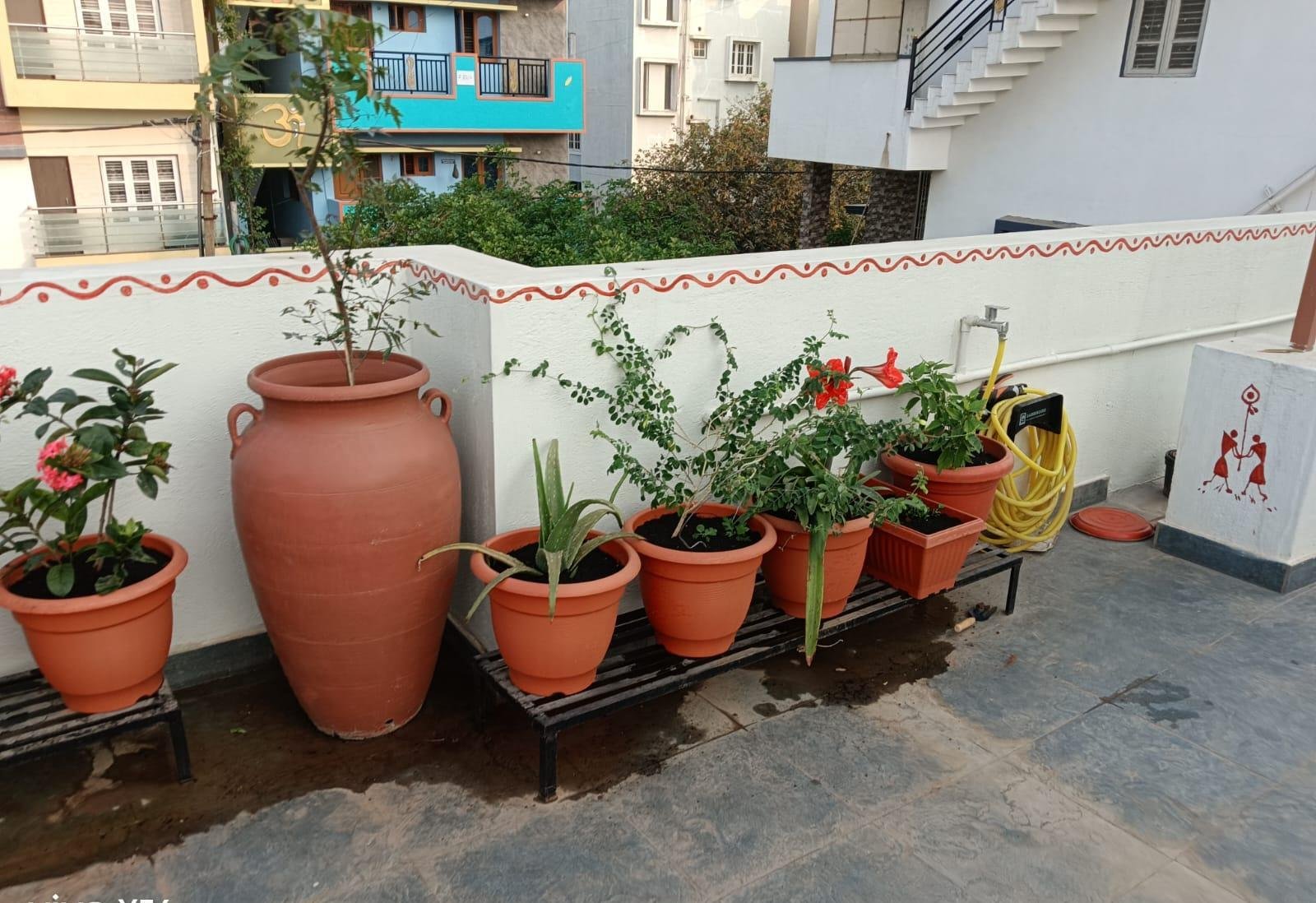 Garden Landscape — LeafyLoom