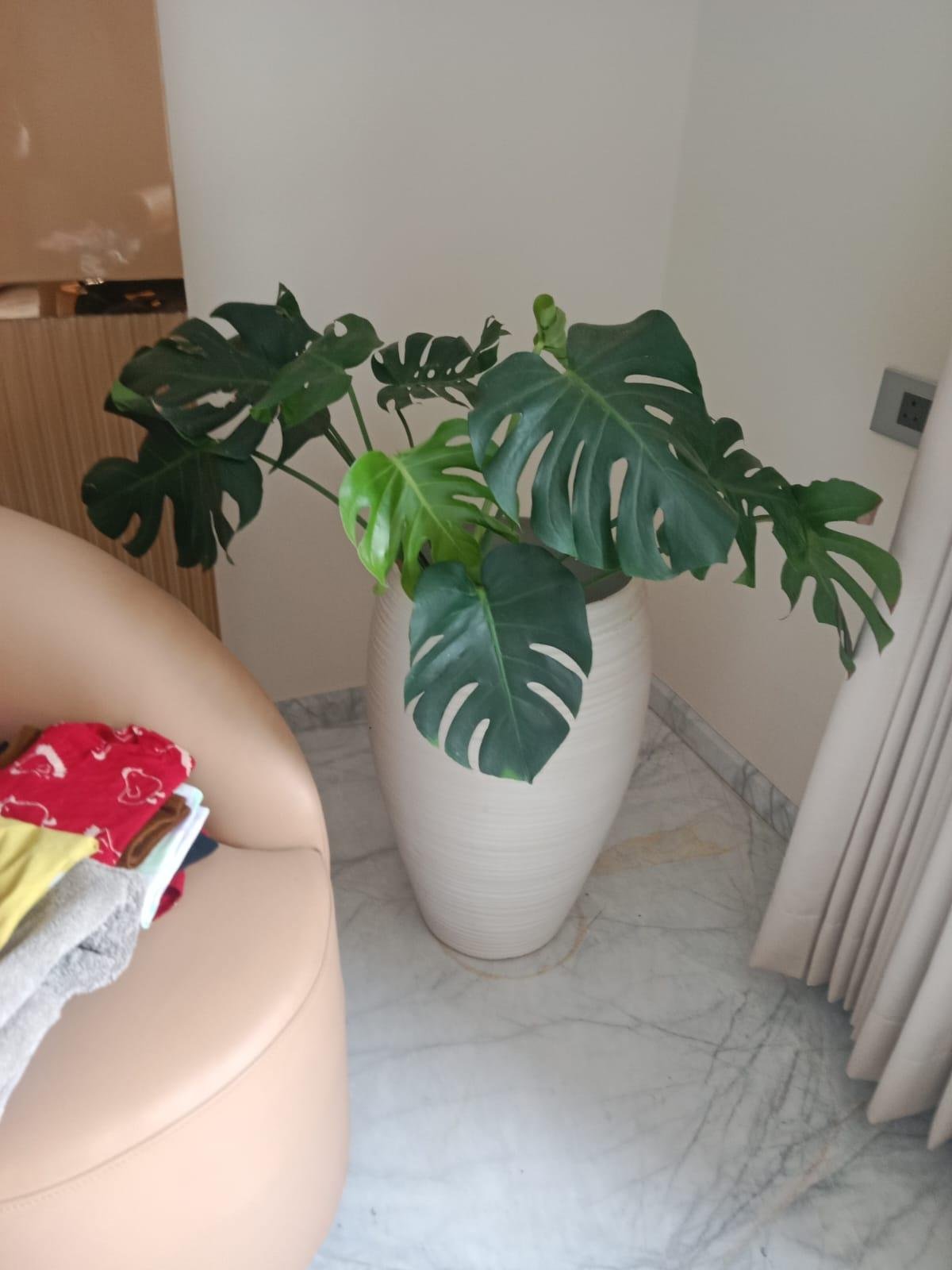 Garden Landscape — LeafyLoom