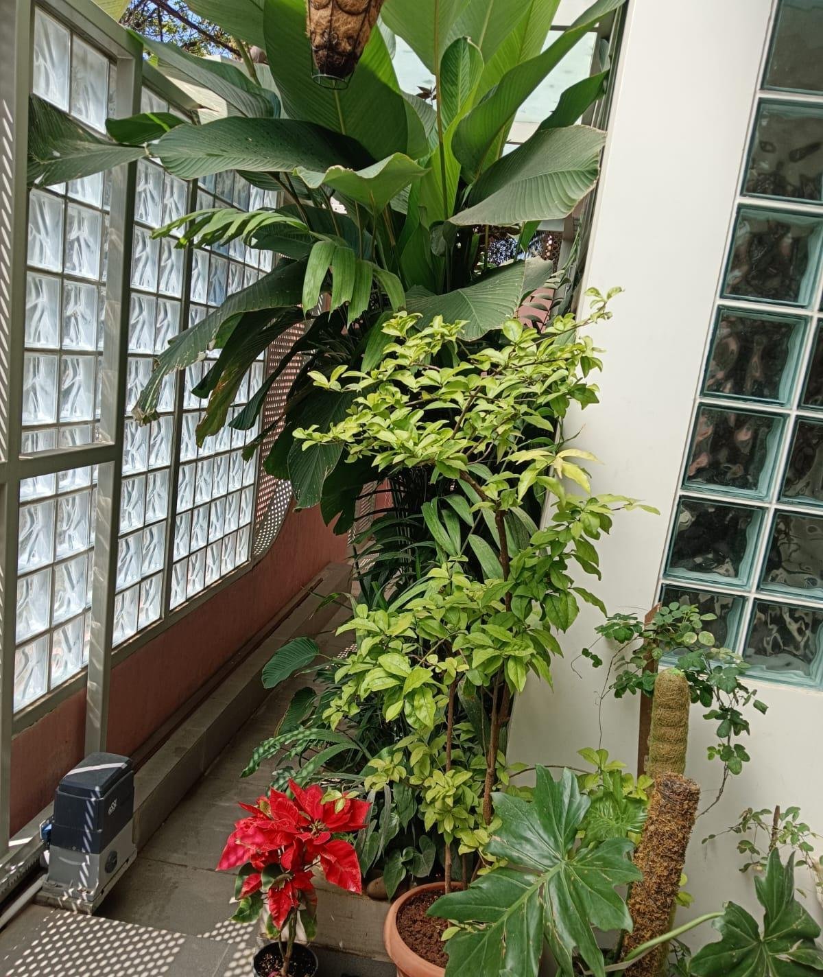 Garden Landscaping — LeafyLoom