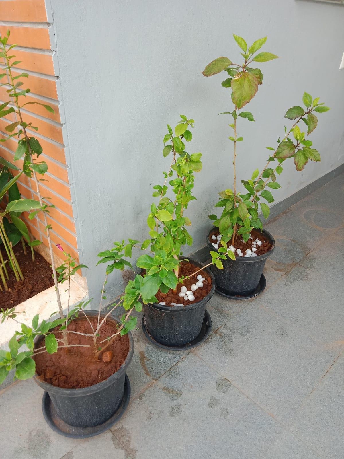 Garden Landscaping — LeafyLoom