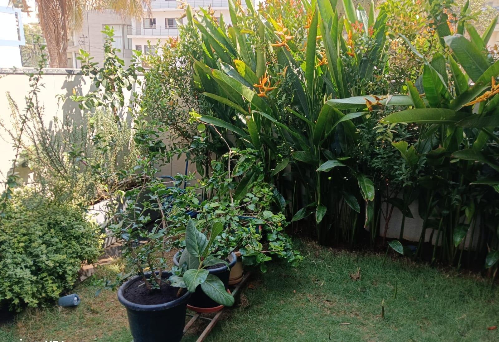 Garden Maintenance — LeafyLoom