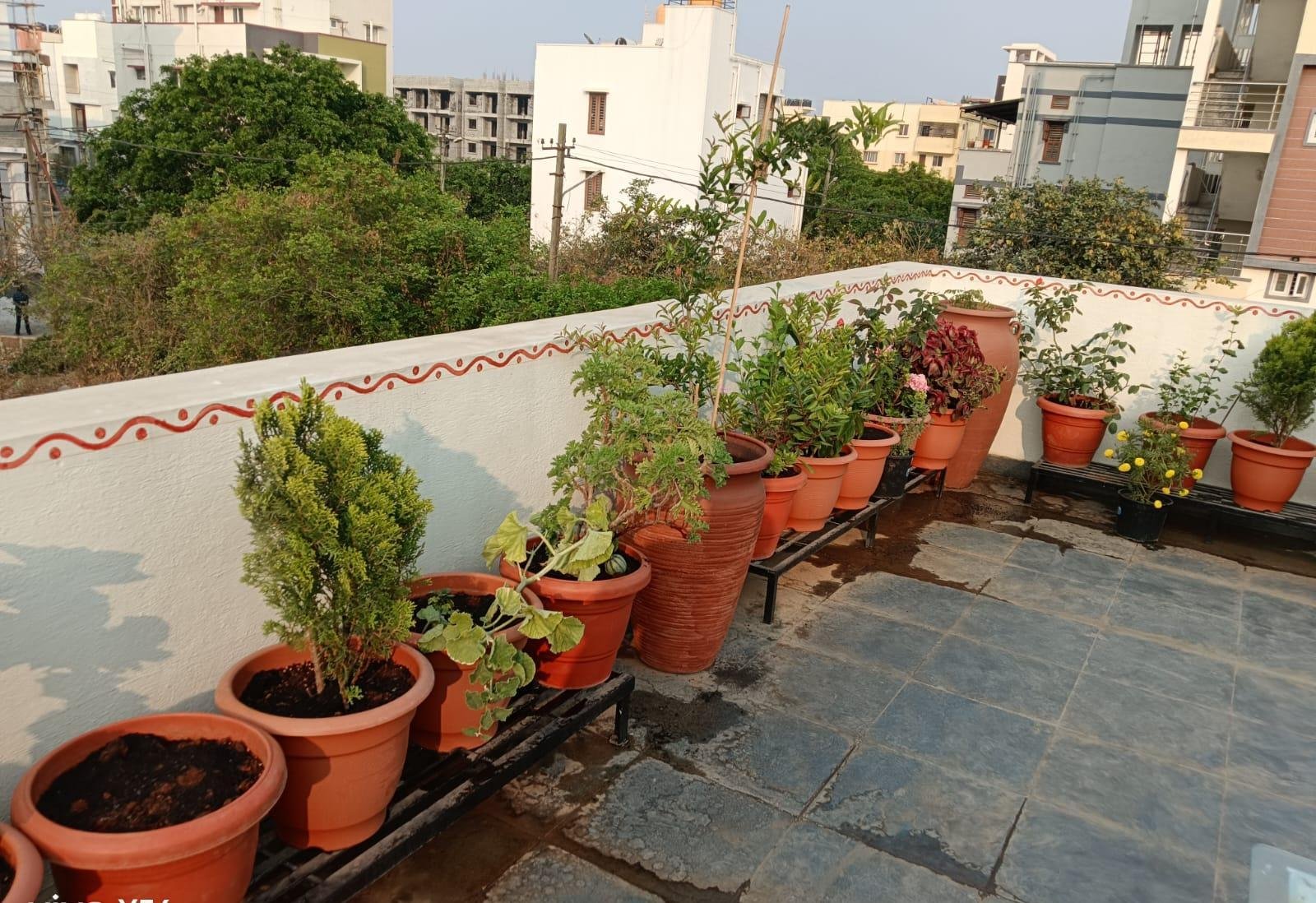 Garden Maintenance — LeafyLoom