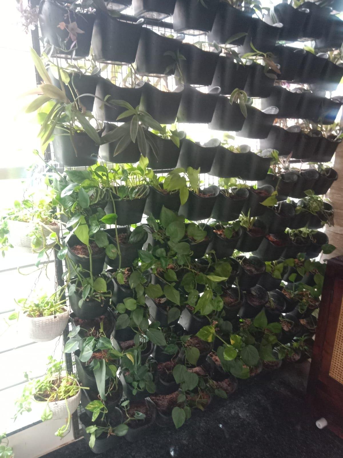 Garden Maintenance — LeafyLoom