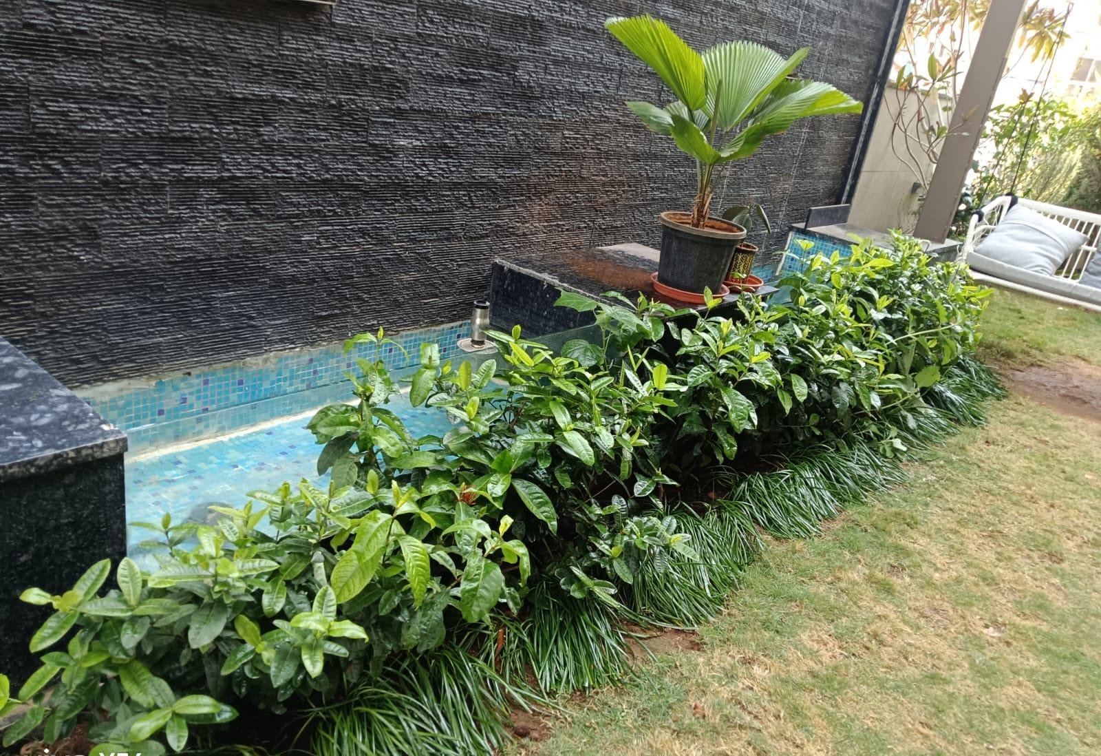 Garden Plants — LeafyLoom