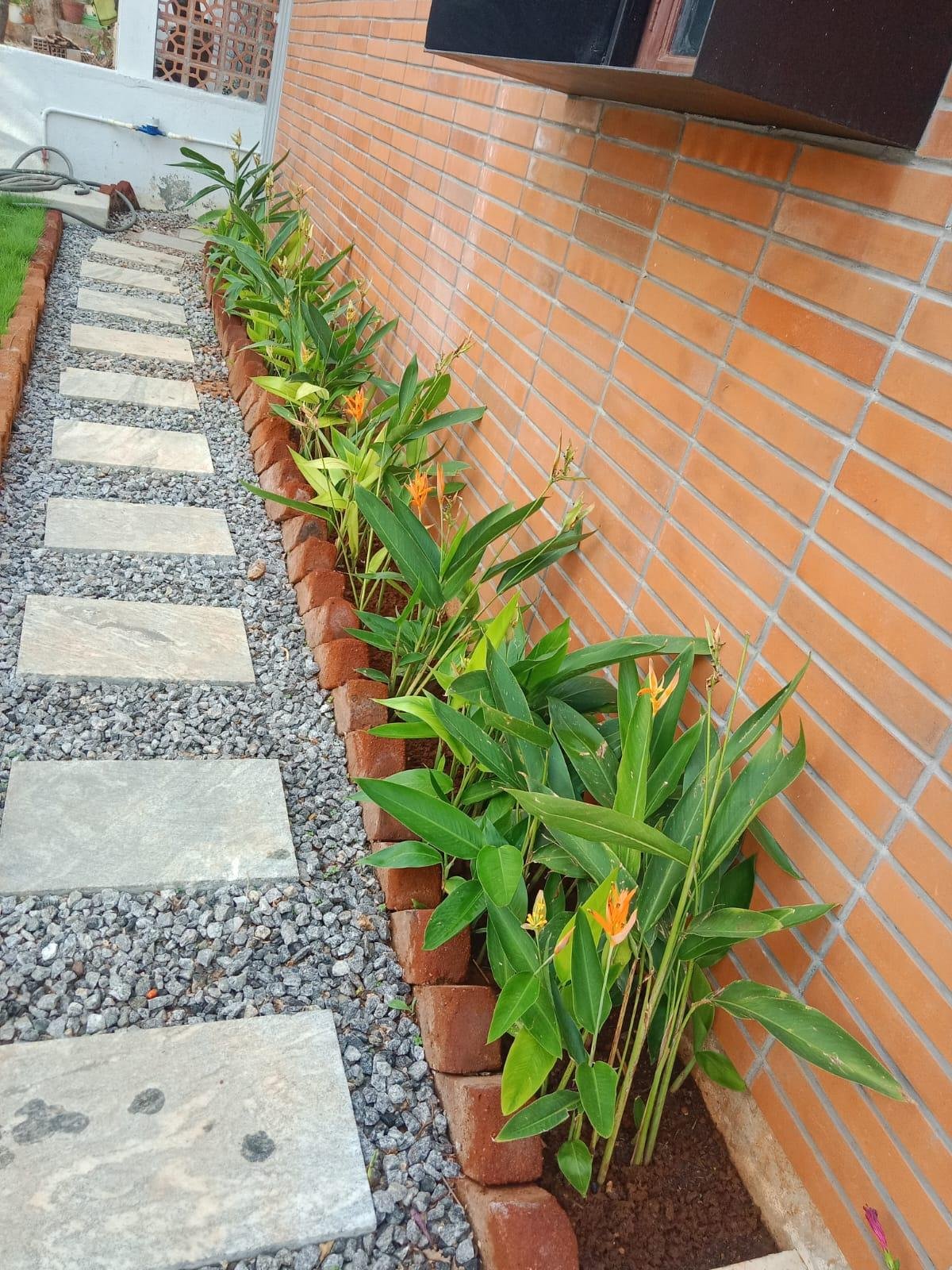 Green Garden — LeafyLoom