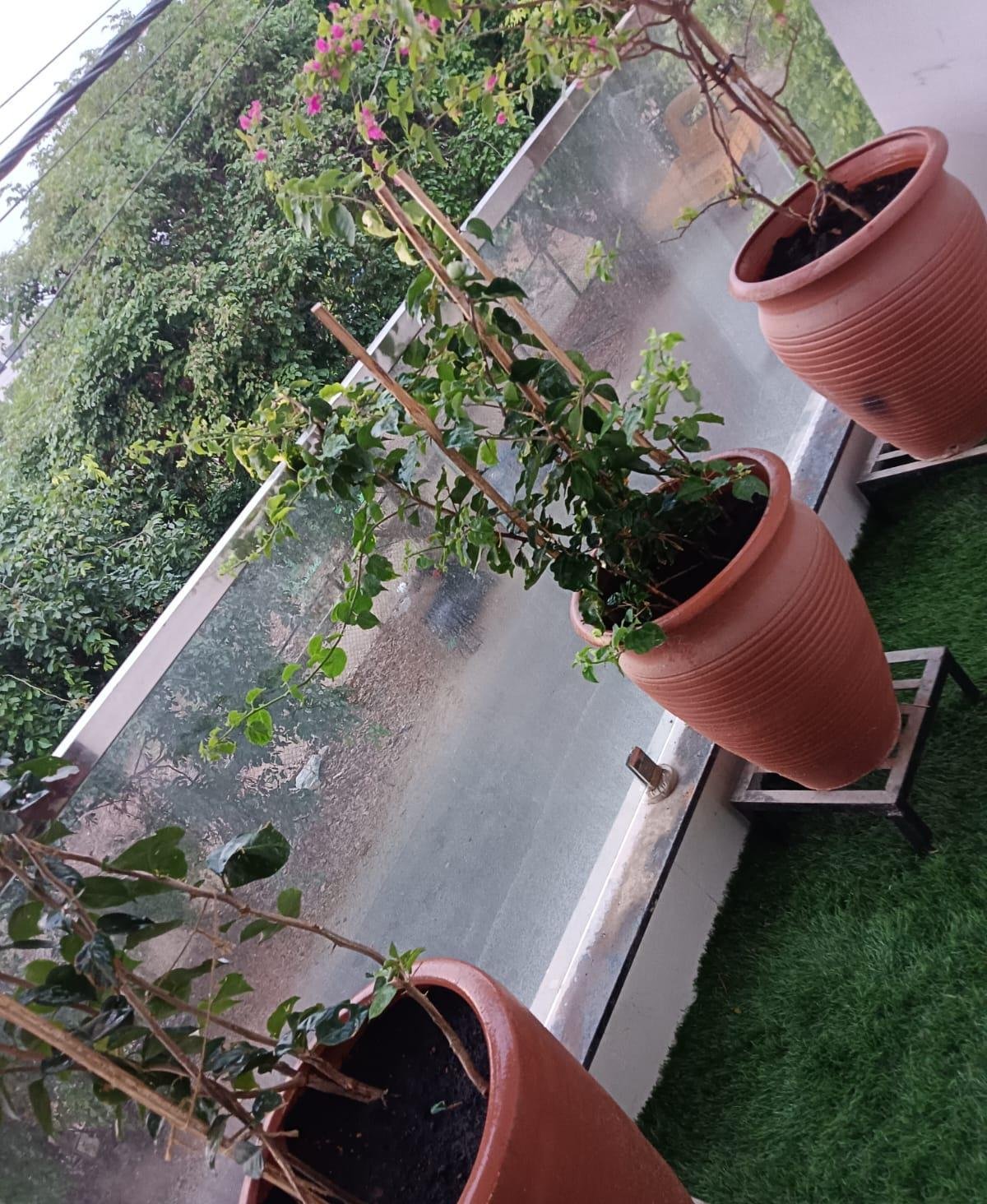 Home Garden — LeafyLoom