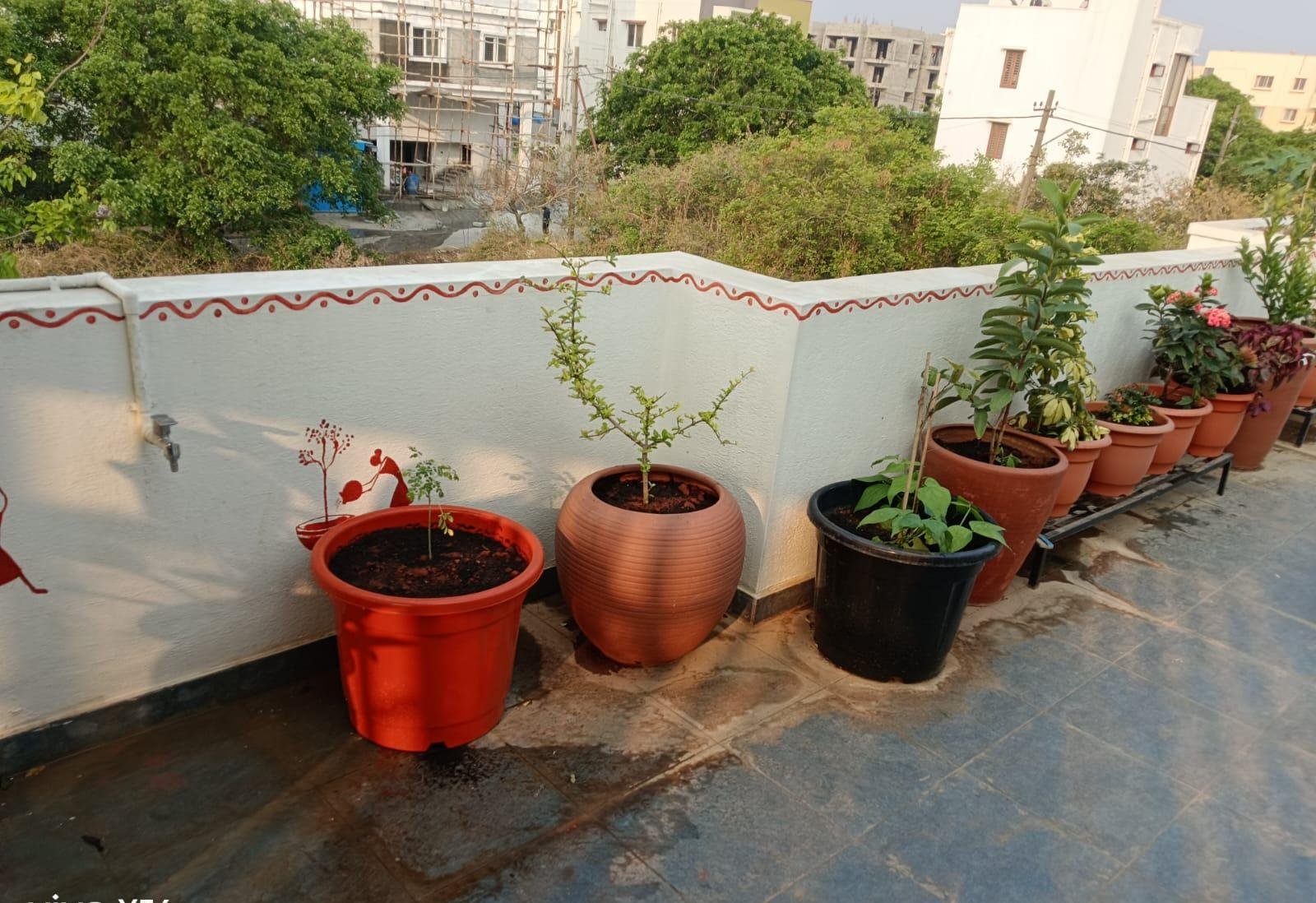 Home Garden — LeafyLoom