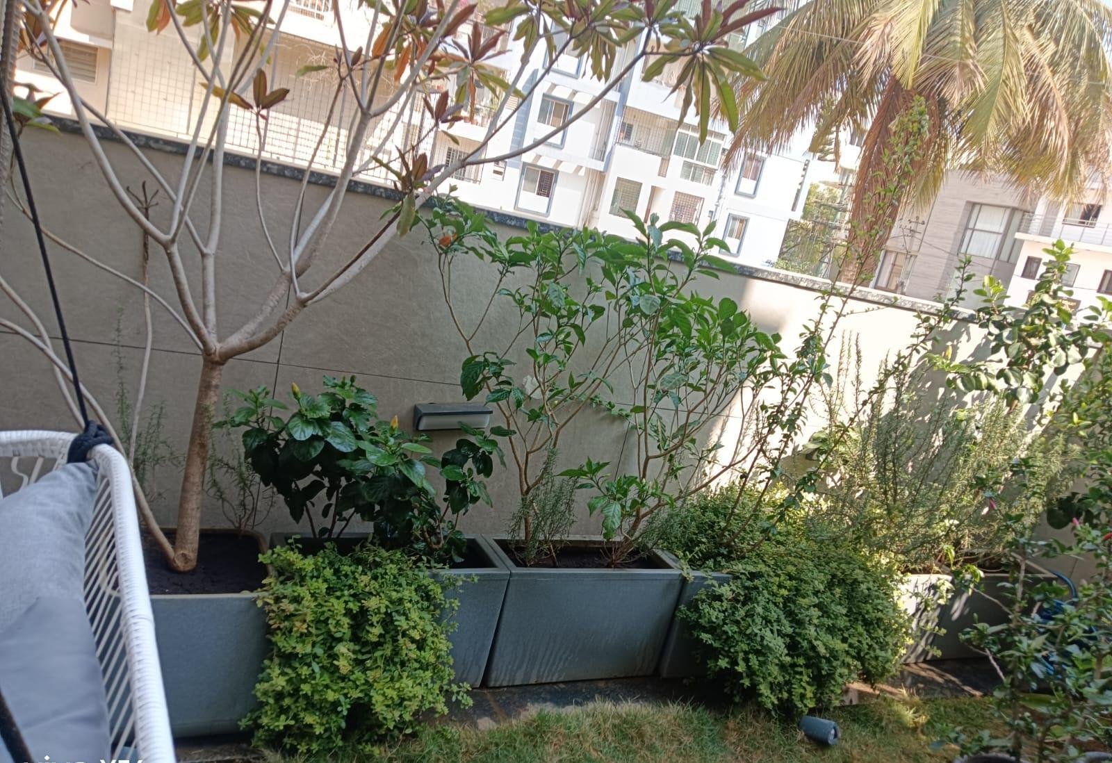 Outdoor Garden — LeafyLoom