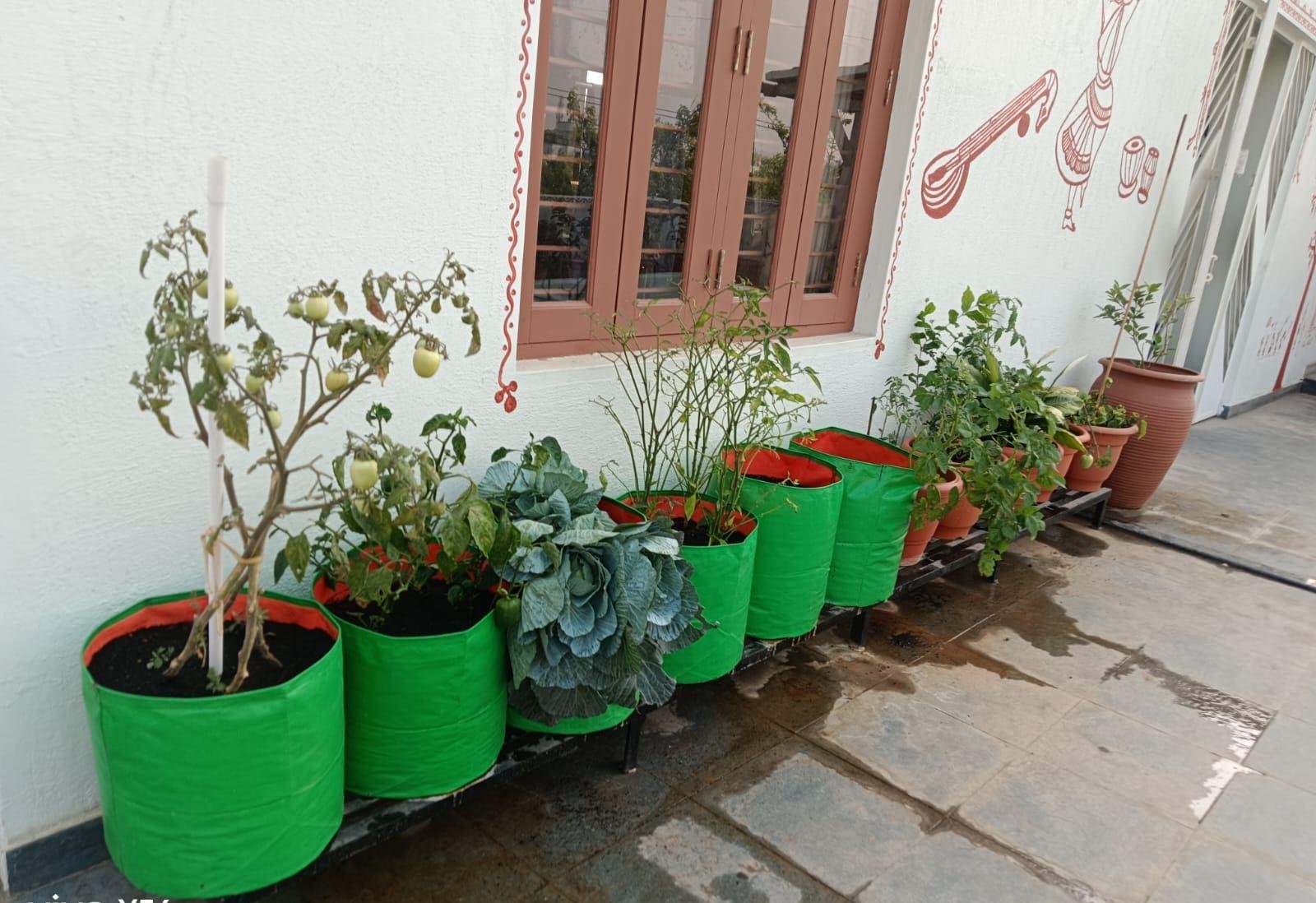 Outdoor Garden — LeafyLoom
