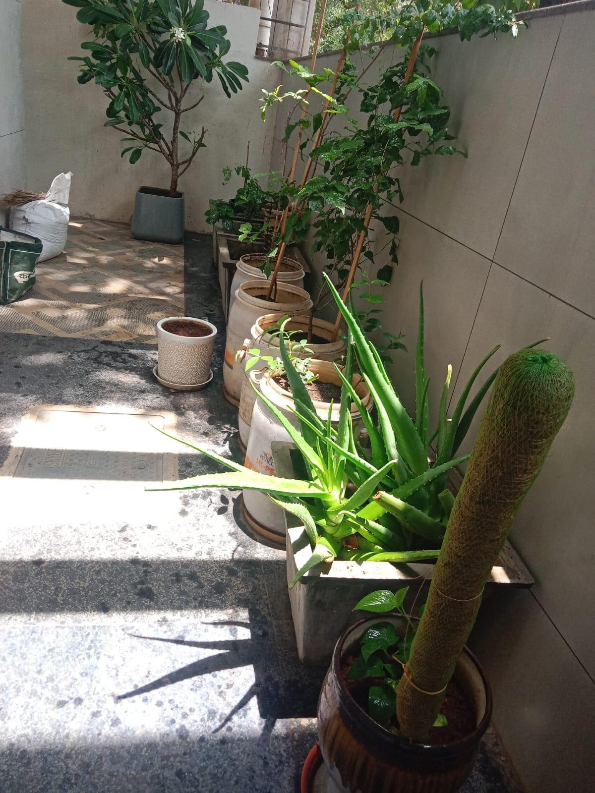 Outdoor Garden — LeafyLoom
