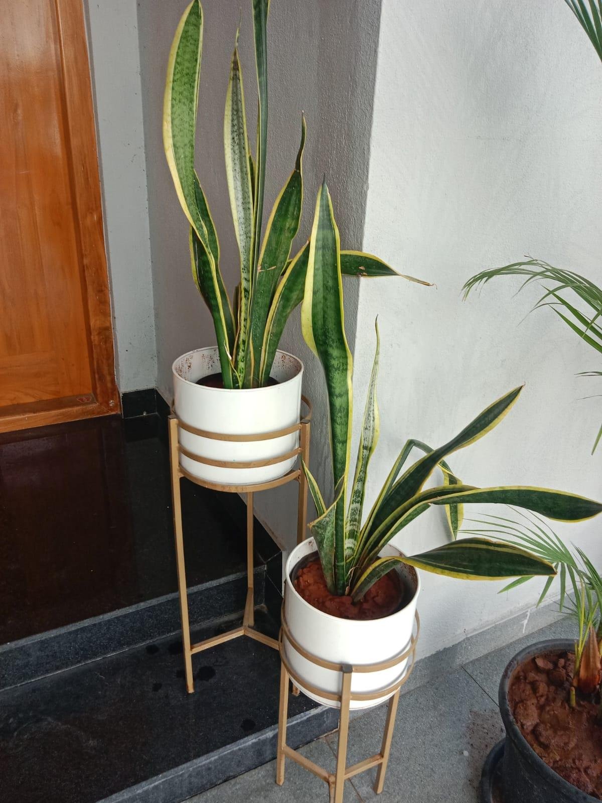 Outdoor Garden — LeafyLoom